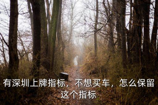 深圳小汽車指標更新業務類型怎么選,深圳市小汽車如何更新指標