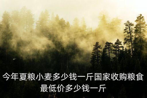 今年夏糧小麥多少錢一斤國家收購糧食最低價(jià)多少錢一斤