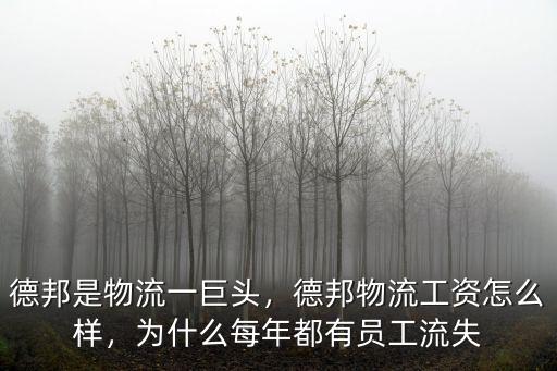 德邦是物流一巨頭，德邦物流工資怎么樣，為什么每年都有員工流失