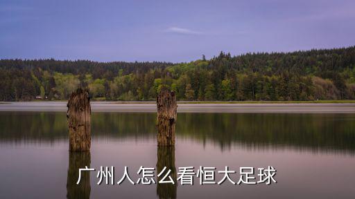廣州人怎么看恒大足球