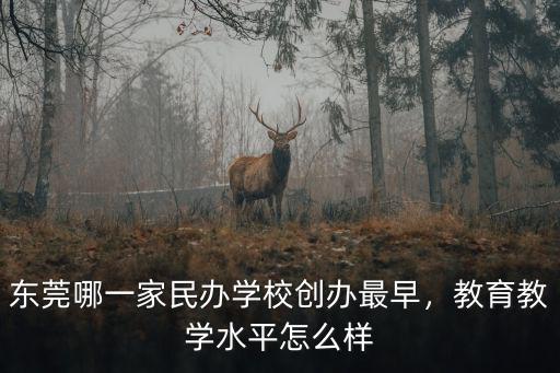 東莞福海小學教學怎么樣,福南小學教學質量好不好