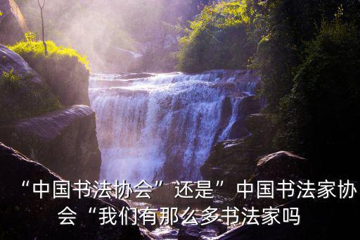 聊城有多少中國(guó)書法家協(xié)會(huì)會(huì)員,中國(guó)書法家協(xié)會(huì)的會(huì)長(zhǎng)