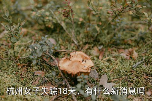 杭州女子失蹤18天，有什么新消息嗎