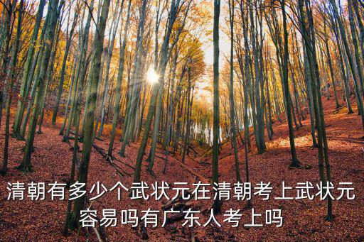 清朝廣東有多少縣,清朝有多少個武狀元