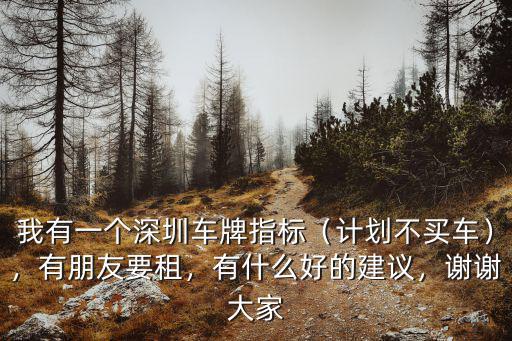 我有一個深圳車牌指標（計劃不買車），有朋友要租，有什么好的建議，謝謝大家
