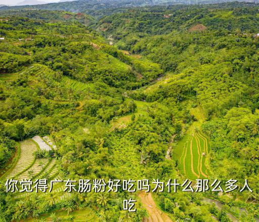 你覺得廣東腸粉好吃嗎為什么那么多人吃