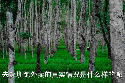 深圳哪里跑外賣單多,深圳哪個地方外賣單子多