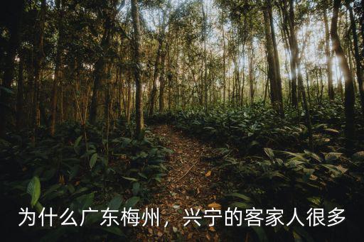 為什么廣東梅州，興寧的客家人很多