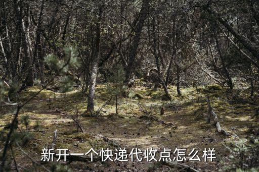在廣州做快遞代收點怎么樣,新開一個快遞代收點怎么樣