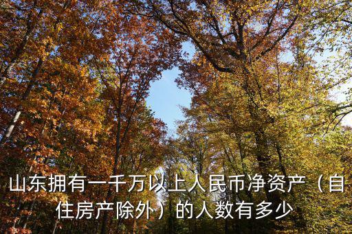 山東擁有一千萬以上人民幣凈資產(chǎn)（自住房產(chǎn)除外）的人數(shù)有多少