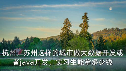 杭州，蘇州這樣的城市做大數據開發或者java開發，實習生能拿多少錢