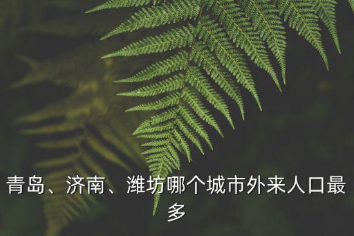 青島、濟南、濰坊哪個城市外來人口最多