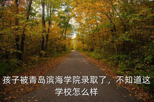青島濱海學院要多少分,孩子被青島濱海學院錄取了