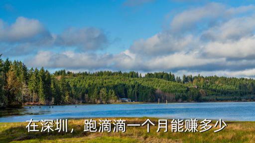 深圳開駕校一年能掙多少錢,駕校本身又能掙多少錢