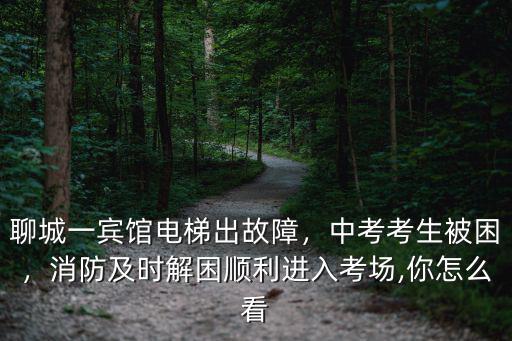 聊城一賓館電梯出故障，中考考生被困，消防及時解困順利進入考場,你怎么看