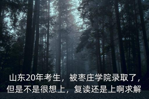 棗莊學院大約多少位次,濟寧學院和棗莊學院比