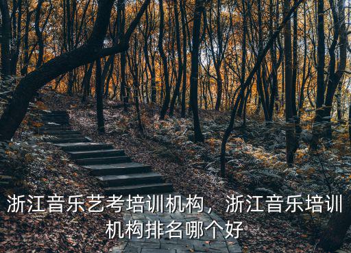 浙江音樂藝考培訓機構，浙江音樂培訓機構排名哪個好