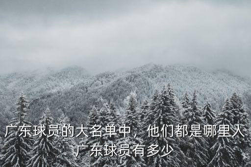 廣東球員的大名單中，他們都是哪里人廣東球員有多少