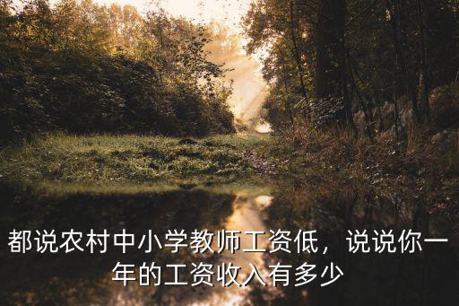 都說農(nóng)村中小學教師工資低，說說你一年的工資收入有多少