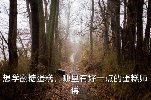 韶關哪里有賣翻糖蛋糕,哪里有好一點的蛋糕師傅