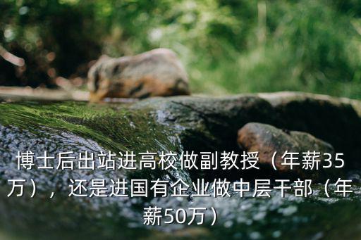 博士后出站進(jìn)高校做副教授（年薪35萬(wàn)），還是進(jìn)國(guó)有企業(yè)做中層干部（年薪50萬(wàn)）