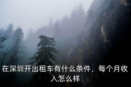 深圳出租車(chē)怎么樣貼吧,深圳出租車(chē)何去何從