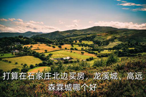 打算在石家莊北邊買房，龍溪城、高遠(yuǎn)森霖城哪個(gè)好