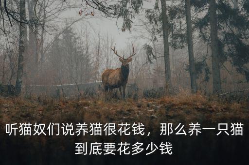 聽貓奴們說養貓很花錢，那么養一只貓到底要花多少錢