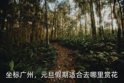 廣州去哪里看葵花,元旦假期適合去哪里賞花