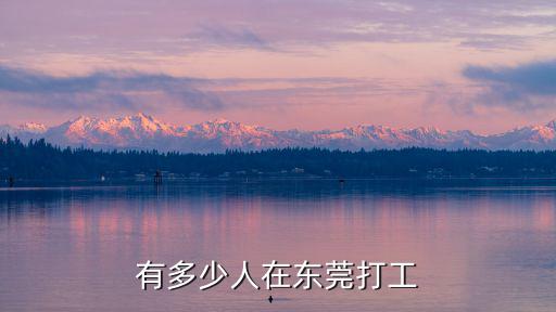 有多少人在東莞打工