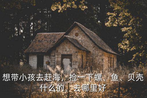 梅州哪里有撿螺,趕海在哪里撿海螺