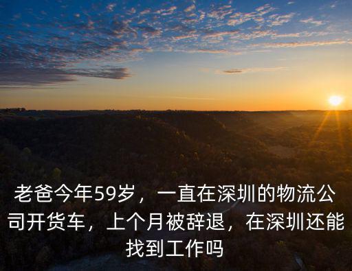 深圳市開(kāi)貨車怎么樣,一直在深圳的物流公司開(kāi)貨車