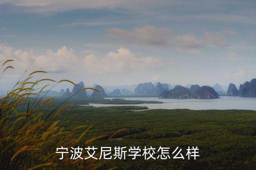 寧波艾尼斯學(xué)校怎么樣