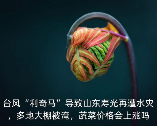 利奇馬臺(tái)風(fēng)登陸山東多少時(shí)間,山東省為什么很少有臺(tái)風(fēng)登陸
