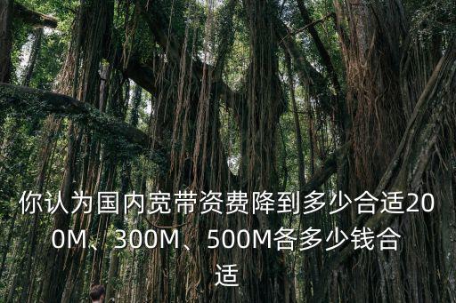 你認(rèn)為國(guó)內(nèi)寬帶資費(fèi)降到多少合適200M、300M、500M各多少錢(qián)合適