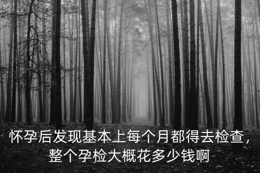 懷孕后發現基本上每個月都得去檢查，整個孕檢大概花多少錢啊