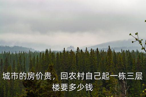 城市的房價貴，回農村自己起一棟三層樓要多少錢