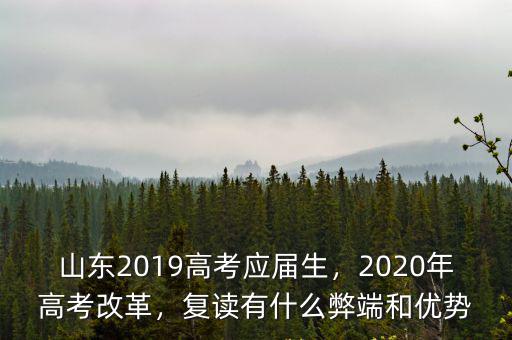 山東2019高考應(yīng)屆生，2020年高考改革，復(fù)讀有什么弊端和優(yōu)勢(shì)