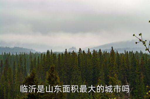 臨沂是山東面積最大的城市嗎