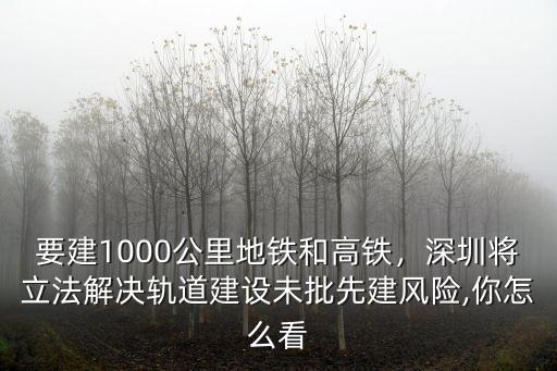 要建1000公里地鐵和高鐵，深圳將立法解決軌道建設未批先建風險,你怎么看