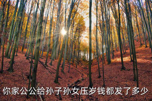 廣州搬新家姥爺給壓歲錢是多少,壓歲錢給多少最好