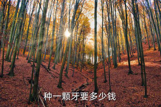 種一顆牙要多少錢