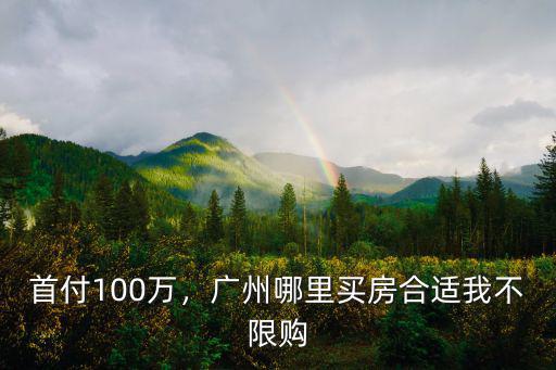 首付100萬，廣州哪里買房合適我不限購