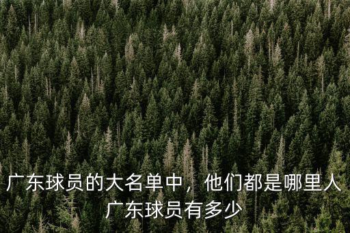 廣東球員的大名單中，他們都是哪里人廣東球員有多少