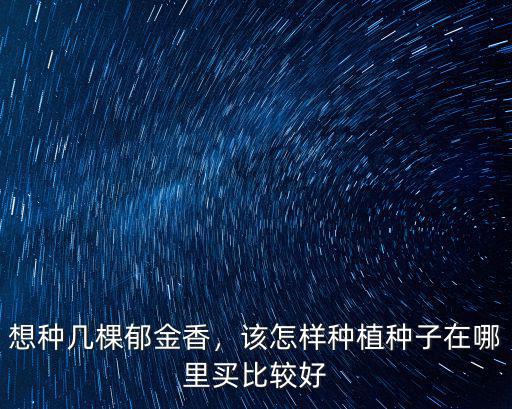 東莞郁金香花在哪里買,想種幾棵郁金香