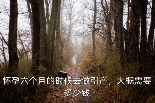 青島引產手術要花多少錢,不想要這個孩子了要花多少錢