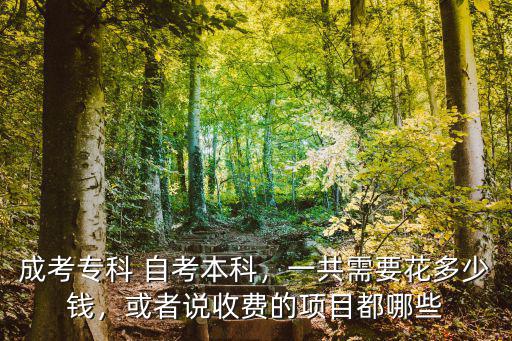 成考專科 自考本科，一共需要花多少錢，或者說收費(fèi)的項(xiàng)目都哪些