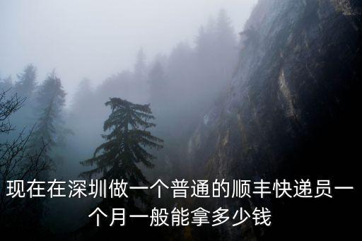 深圳快遞越南多少錢一個月,在深圳送快遞怎么樣