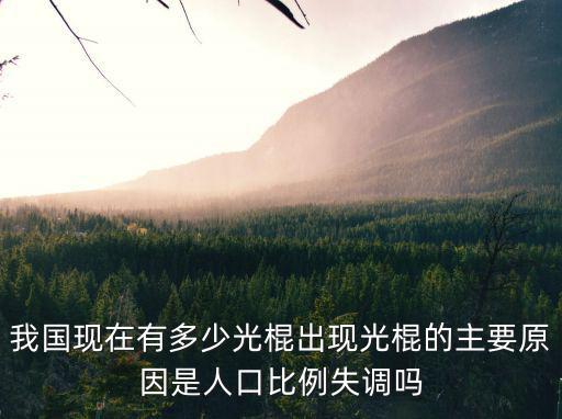 我國現(xiàn)在有多少光棍出現(xiàn)光棍的主要原因是人口比例失調(diào)嗎