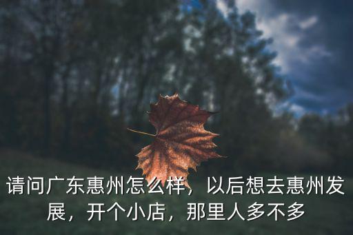 請問廣東惠州怎么樣，以后想去惠州發(fā)展，開個小店，那里人多不多